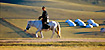 Mongolia - a cavallo nella steppaU1