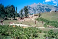 Kashmir Ladakh         