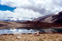  Ladakh            