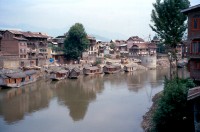 Kashmir      