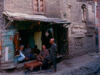 Kashmir Ladakh       