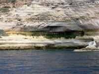 Lampedusa                        