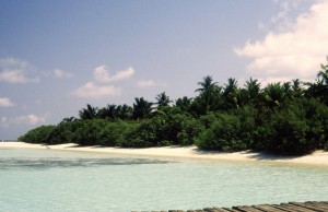 Maldive     