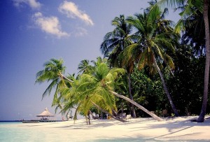 Maldive    