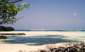 Maldive    
