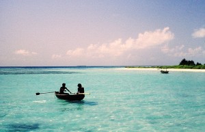 Maldive         
