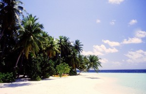 Maldive   