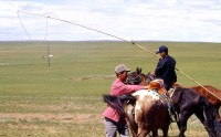 Mongolia     