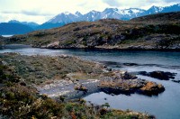 Patagonia         