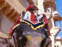 Rajasthan    