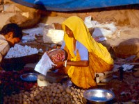 Rajasthan 1990    