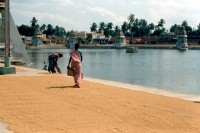 Tamil Nadu      