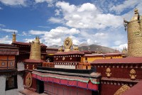 Tibet            