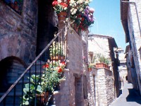Umbria 2004        