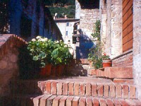 Umbria 2004       