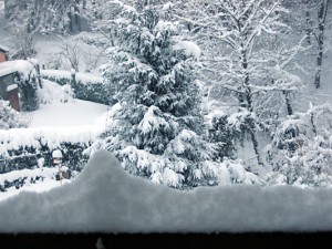neve da casa, 27 gennaio 2006
